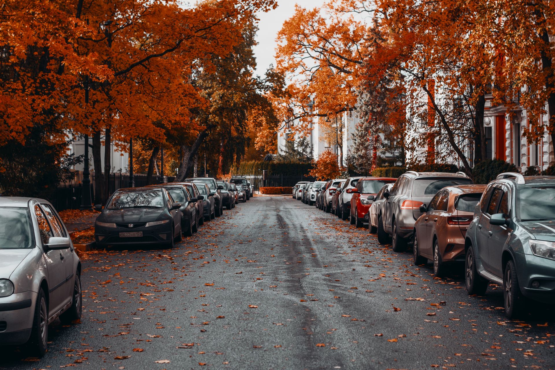 Cars parked along a tree-lined residential street