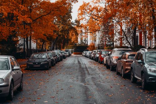 Free A peaceful street view lined with parked cars and vivid orange autumn leaves. Stock Photo