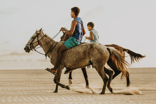 Boys Horseback Riding on a Desert 