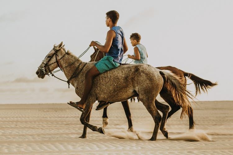 Boys Horseback Riding On A Desert 