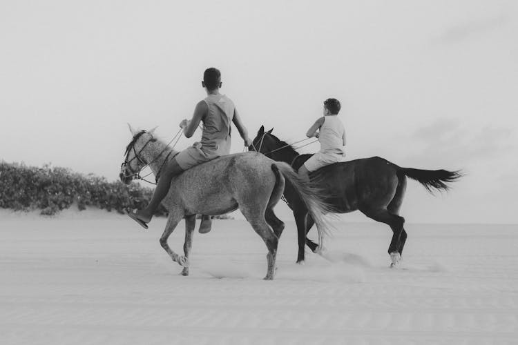 Boys Horseback Riding On A Desert 