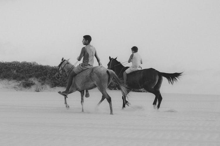 Boys Horseback Riding On A Desert 