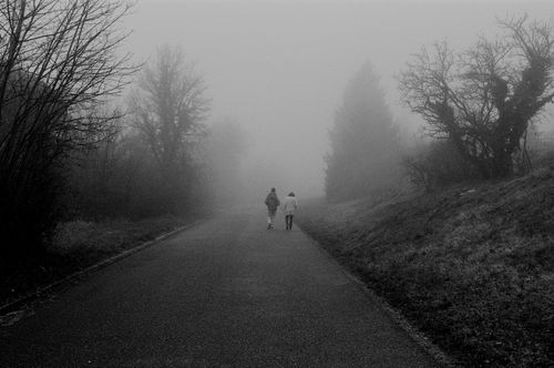 Free Two people walking on a foggy road in a black and white misty landscape. Stock Photo
