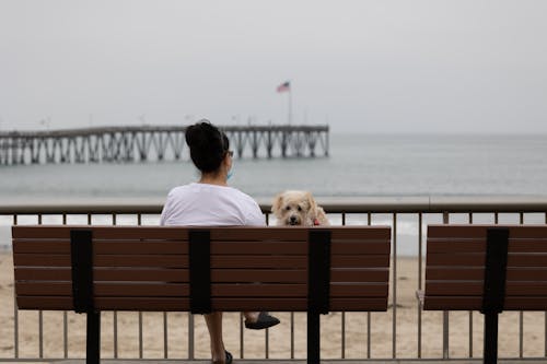 Photograph of a Woman and a Dog on a Bench