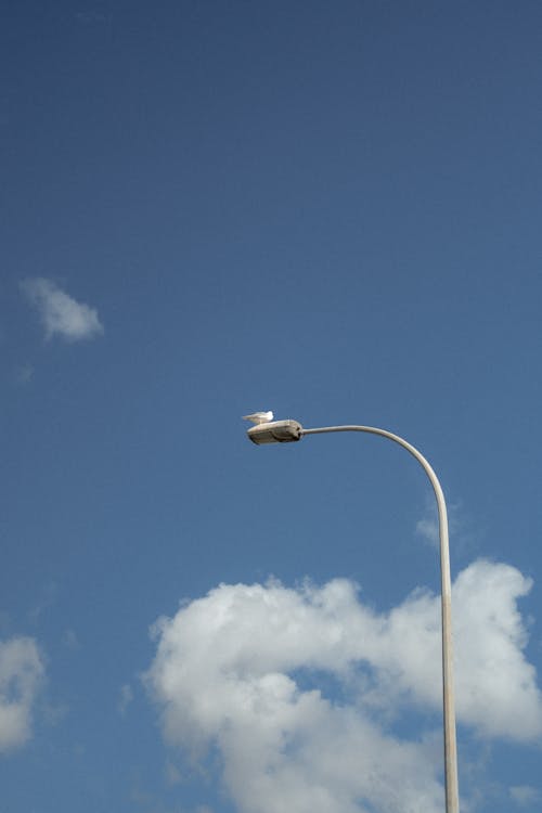 垂直ショット, 曇り, 街路灯の無料の写真素材