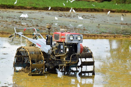Farm Tractor in the Muddy Paddy