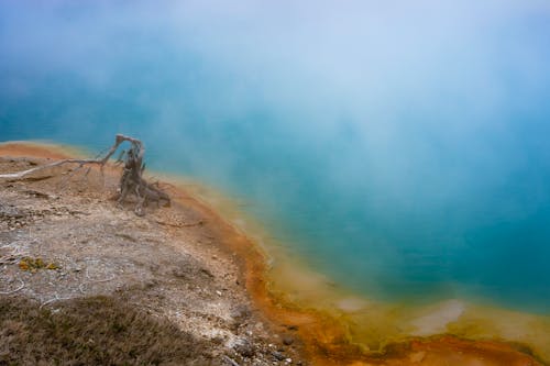 Blue Water and Seashore in Fog