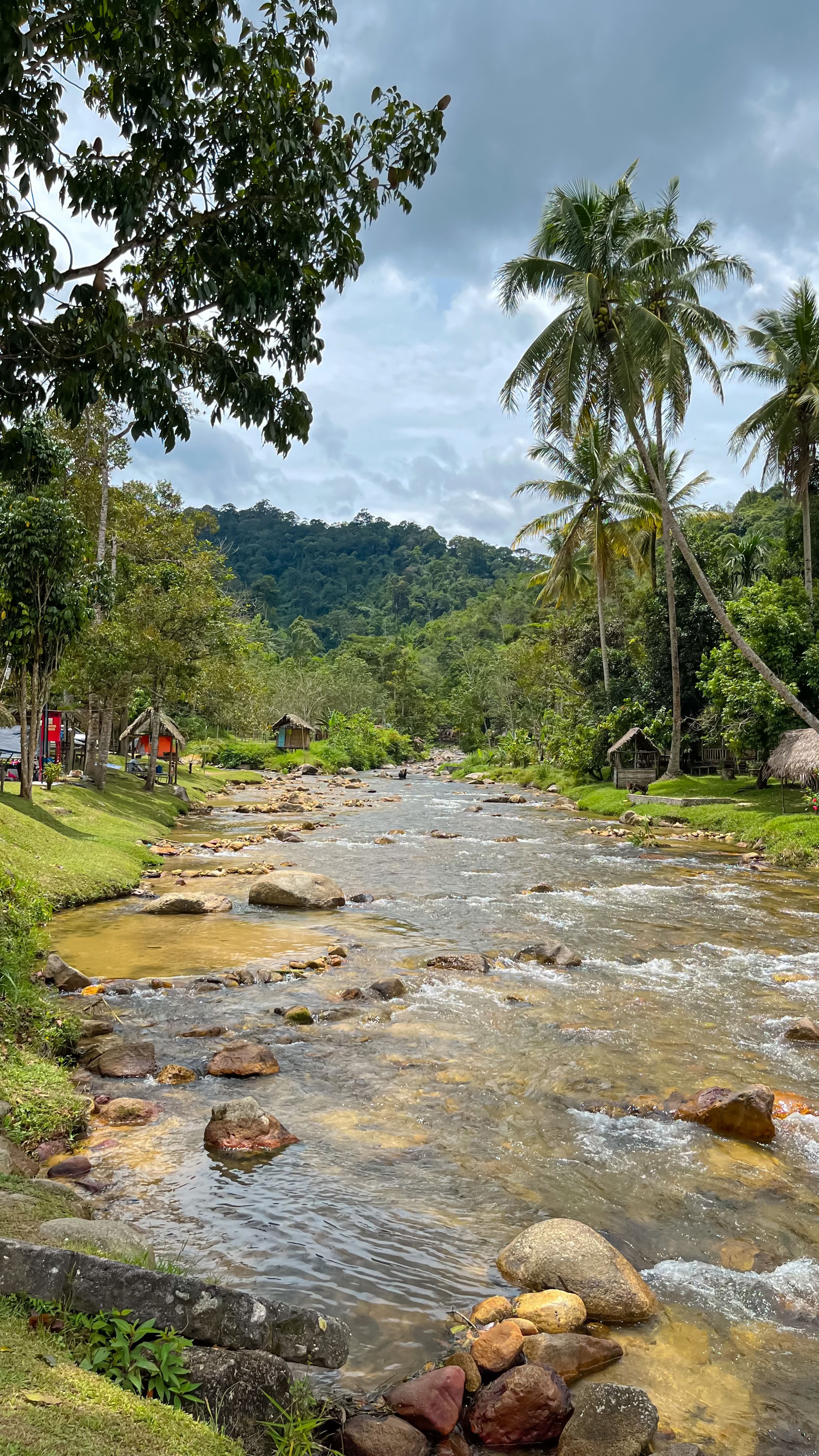 Scenic view of a tropical stream bordered by coconut trees under a cloudy sky.