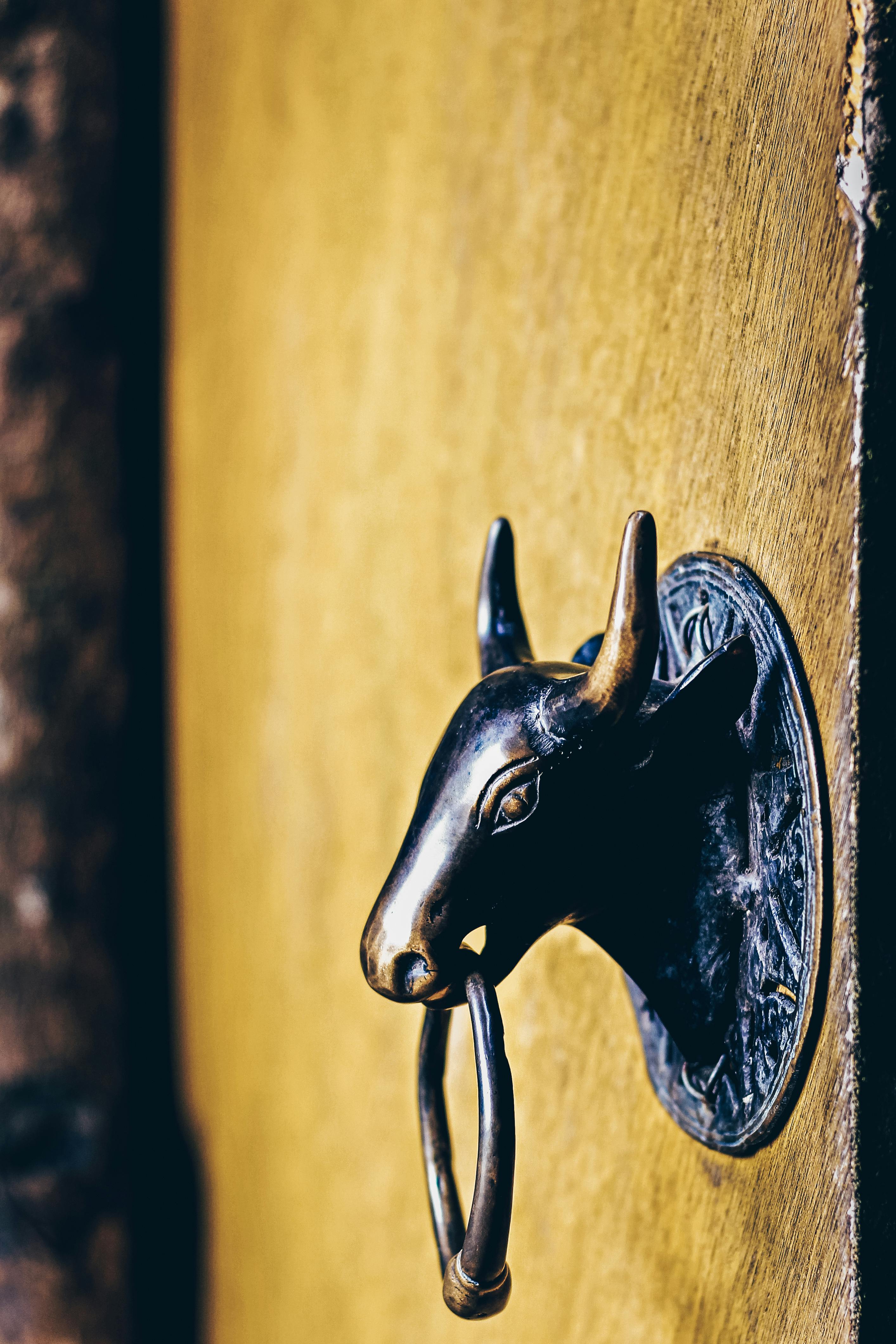 Bull Door Knocker · Free Stock Photo