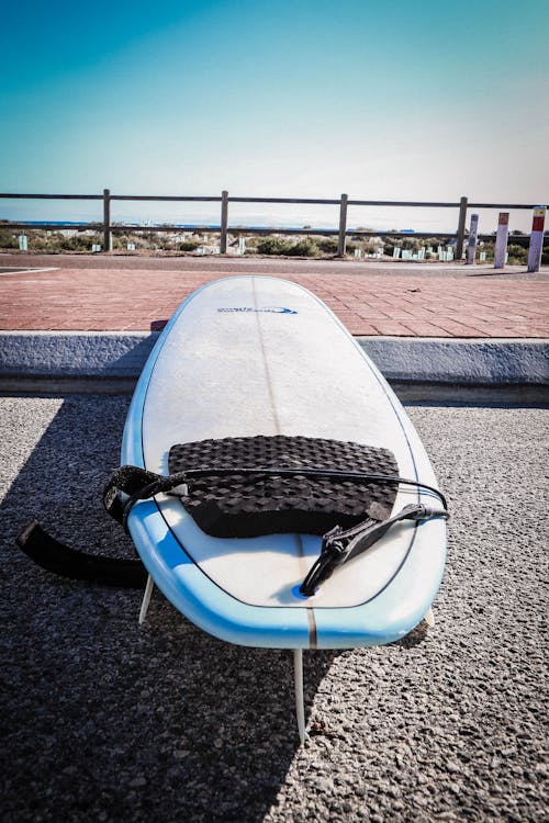 Paddle Board 