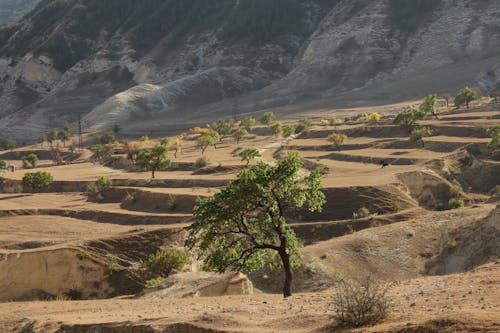 Remote Arid Wasteland Photo