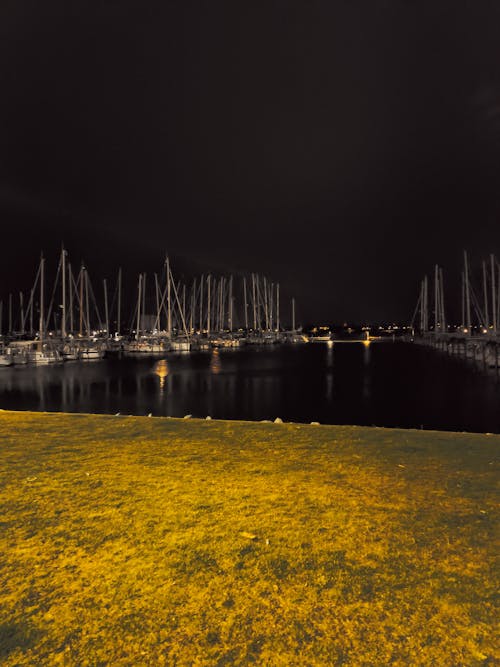 Free stock photo of at night, boats, harbour