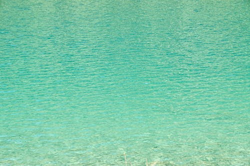 Gratis Immagine gratuita di acqua turchese, acque calme, alzavola Foto a disposizione