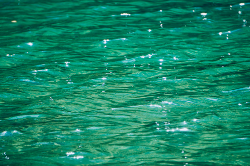 Free Close-up of vibrant green water surface with glistening highlights, capturing natural textures. Stock Photo