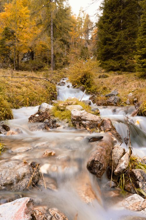 Free Tranquil autumn stream flowing through the rocky forest landscape in Untertauern, Salzburg, Austria. Stock Photo