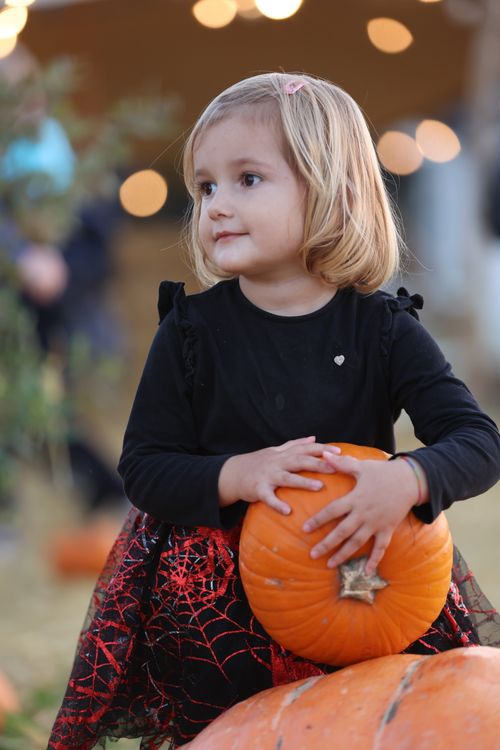 Free Cute girl in a Halloween dress hugs a pumpkin with a joyful expression, perfect for festive themes. Stock Photo