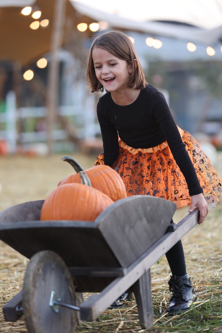 Little Girl Pushing Wooden Wheelbarrow Full Of Pumpkins