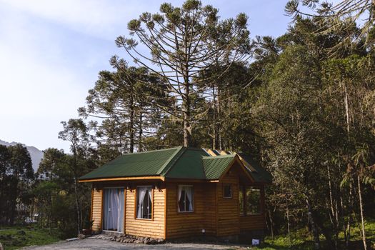 A cozy wooden cabin nestled among tall trees under a clear blue sky, perfect for a serene retreat.