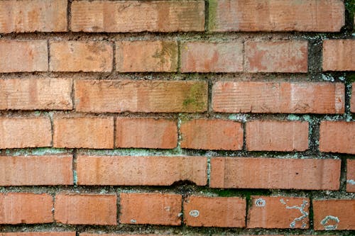 Fotos de stock gratuitas de áspero, erosionado, fondo de pantalla