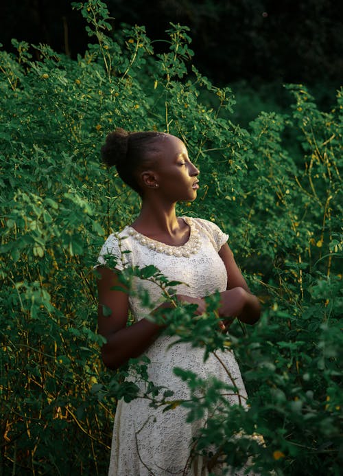 Immagine gratuita di abito, arbusto, donna afro-americana