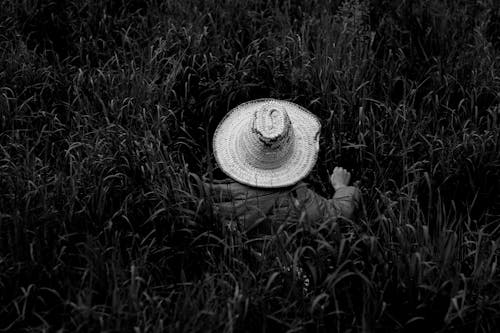 Foto profissional grátis de agricultor, área, chapéu de palha