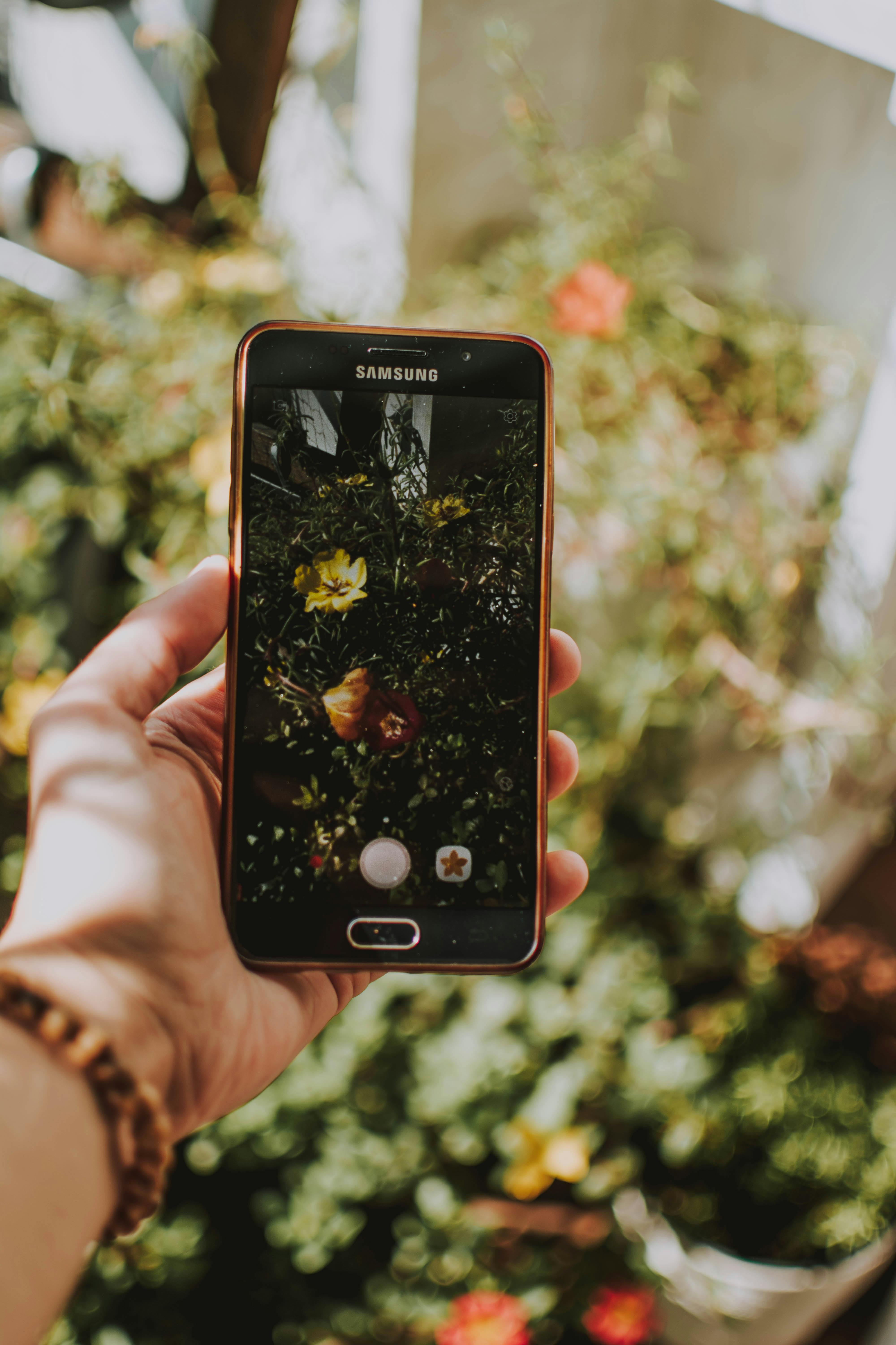 selective focus photo of black samsung galaxy android smartphone displaying yellow petaled flower