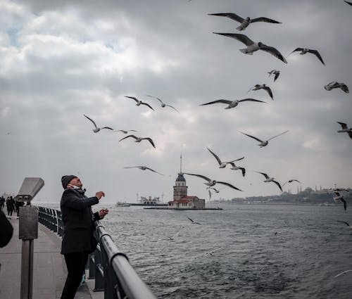 คลังภาพถ่ายฟรี ของ bosphorus, ค้นหา, ตุรกี