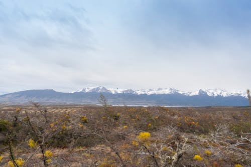 Darmowe zdjęcie z galerii z chile, pasmo górskie, patagonia