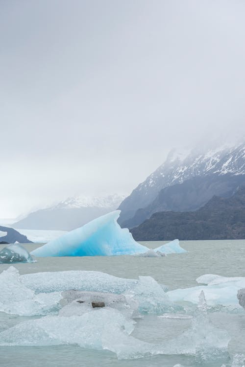 Fotos de stock gratuitas de clima polar, congelado, fondo de pantalla para el móvil