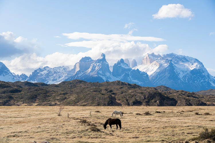 Torres Del Paine