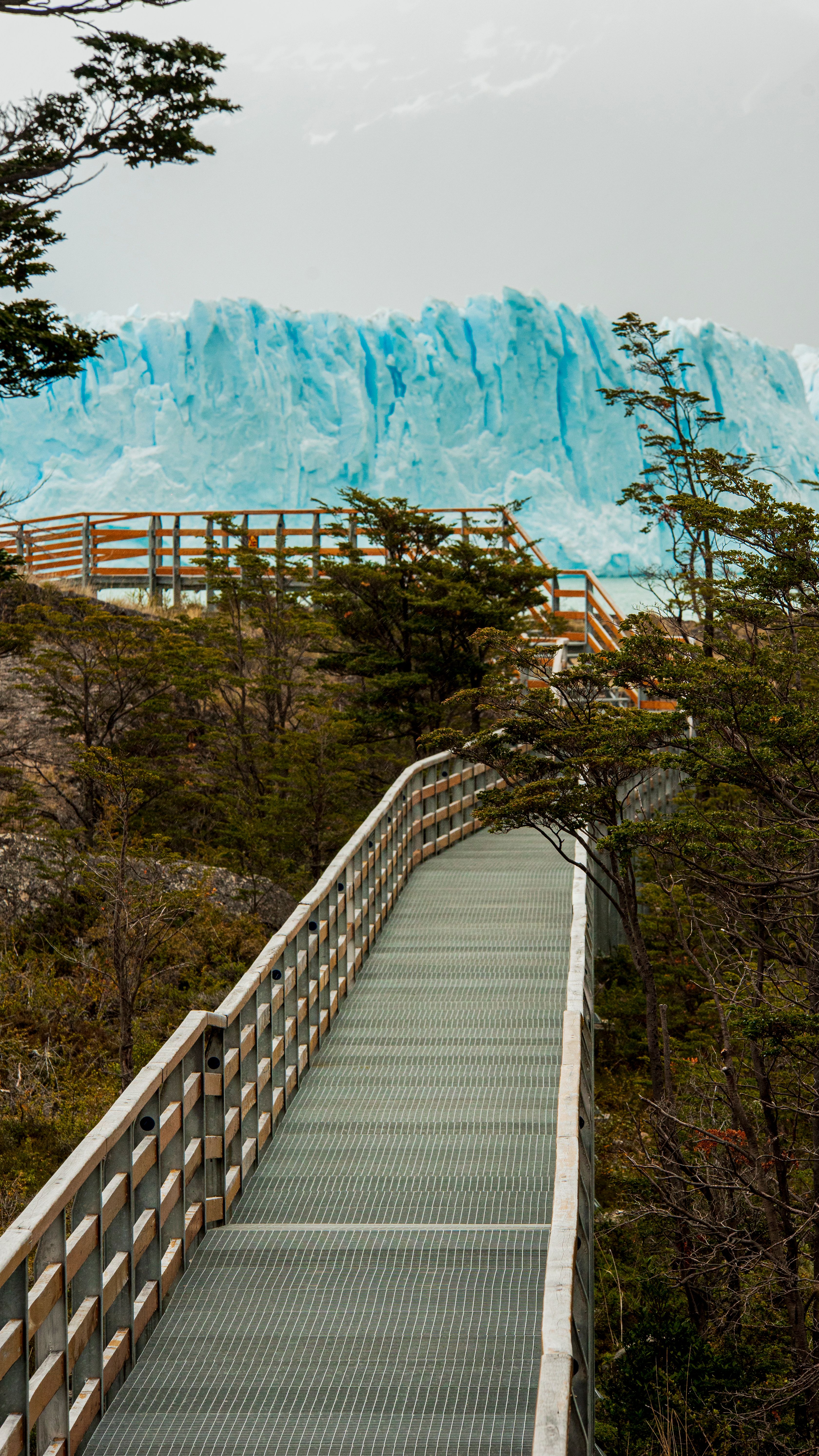 things to do in el calafate
