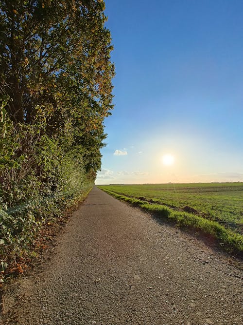 Free stock photo of autumn trees, beautiful background, bicycle path