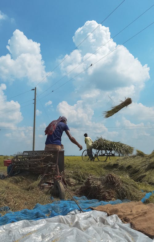 Farmers Working on Agricultural Field