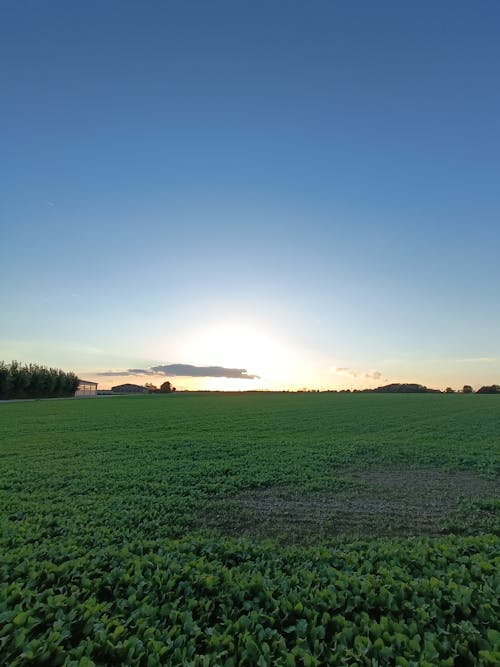 Free stock photo of aesthetic desktop background, agricultural field, cool desktop backgrounds