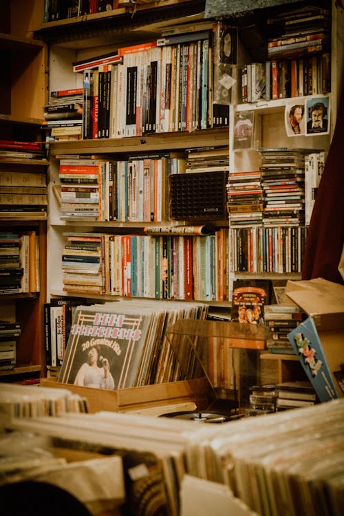 A Variety of Vintage Books and Vinyl Records