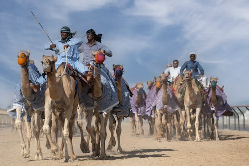 Men Riding Camels in Desert
