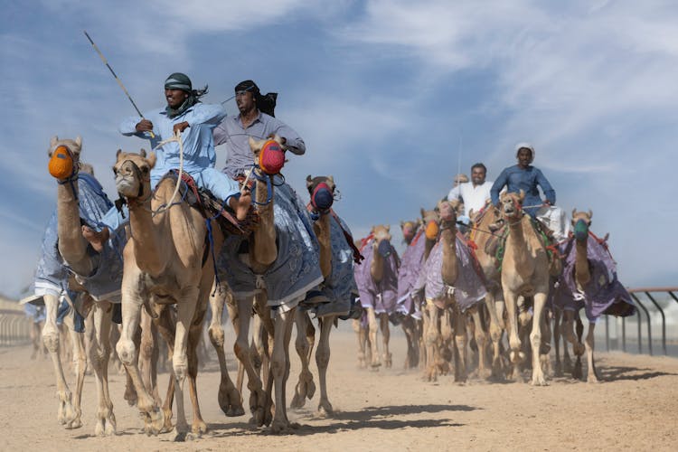 Men Riding Camels In Desert