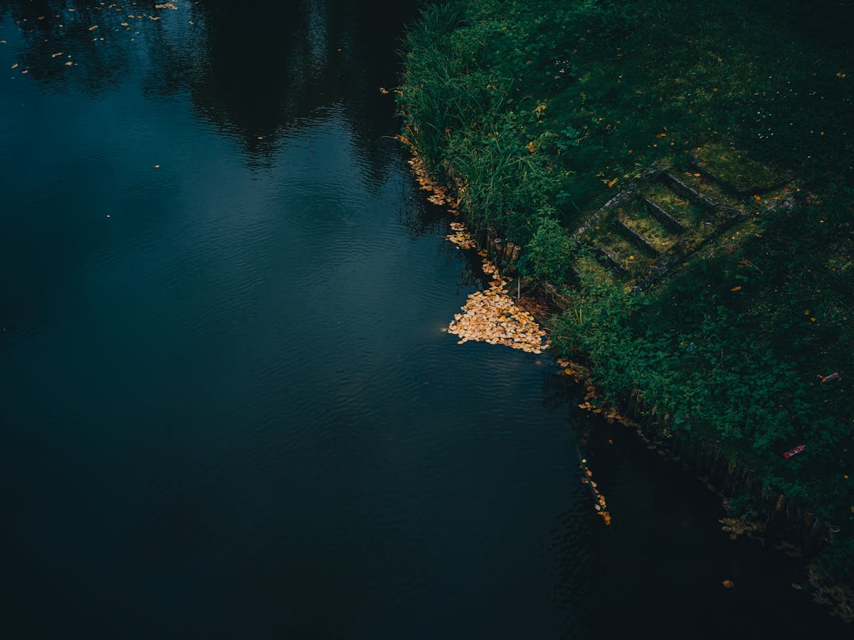 Body of Water Near Green Grass Field