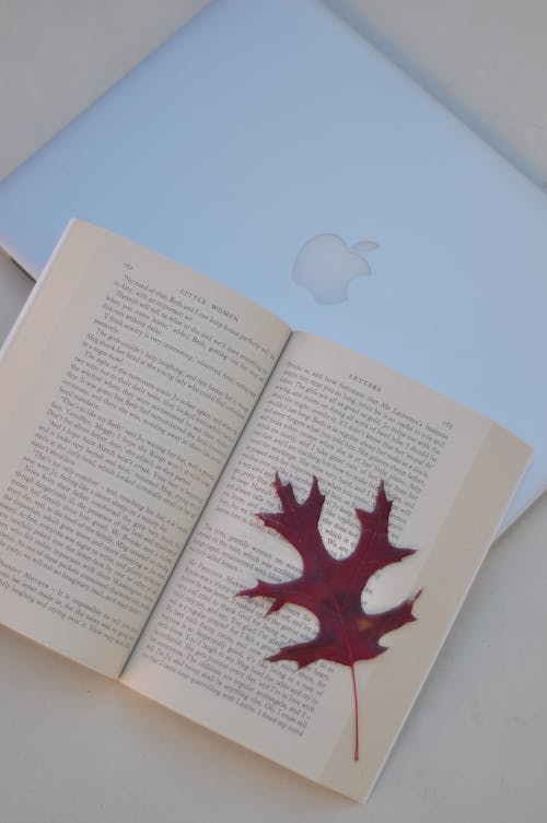 An Open Book with Autumn Leaf