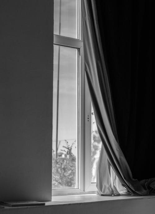 Imagine de stoc gratuită din alb-negru, decor casnic, dimineață