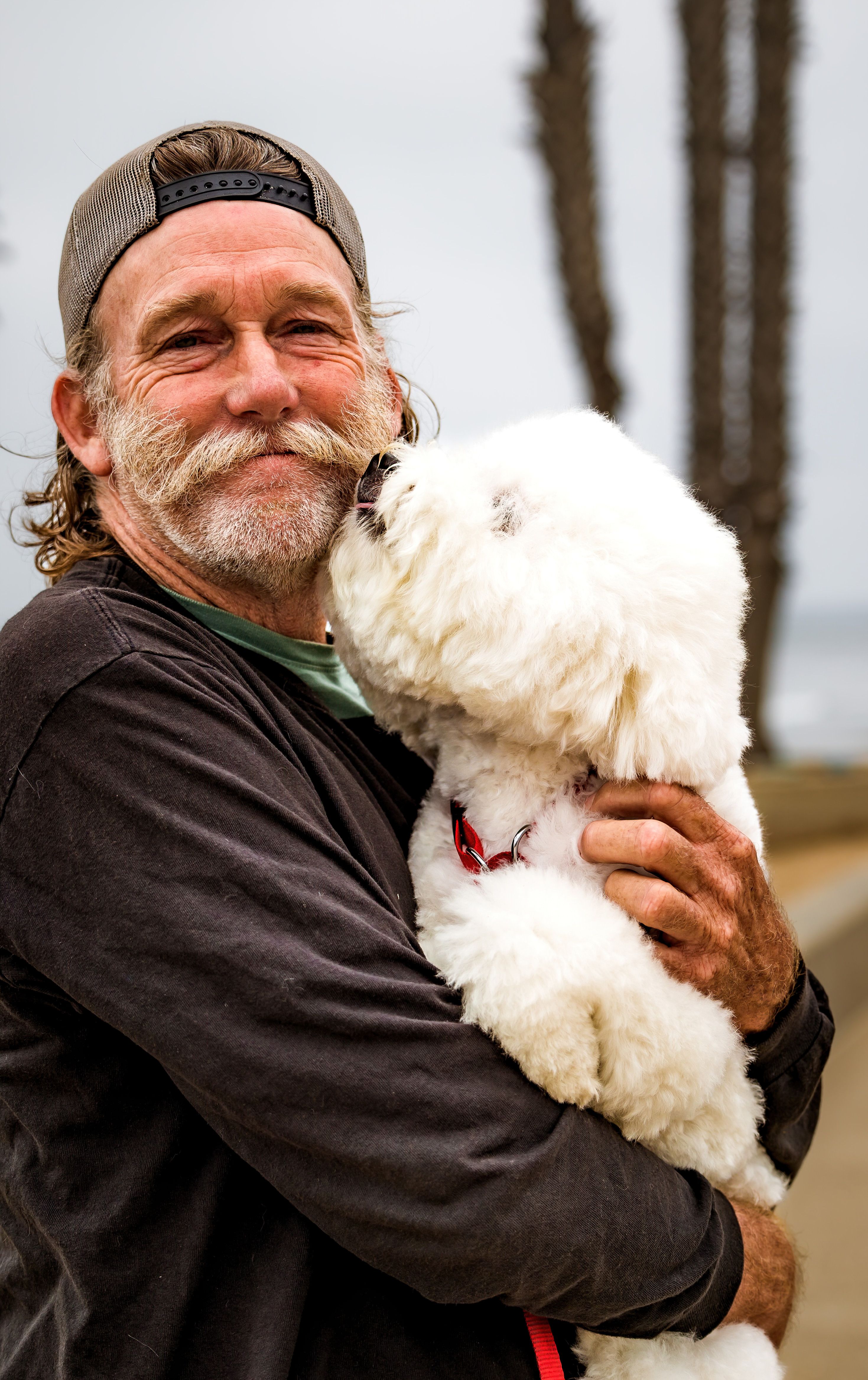 A Bearded Man Holding a White Toy Poodle · Free Stock Photo