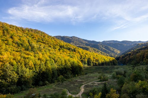 Green Trees on Mountain Under Blue Sky