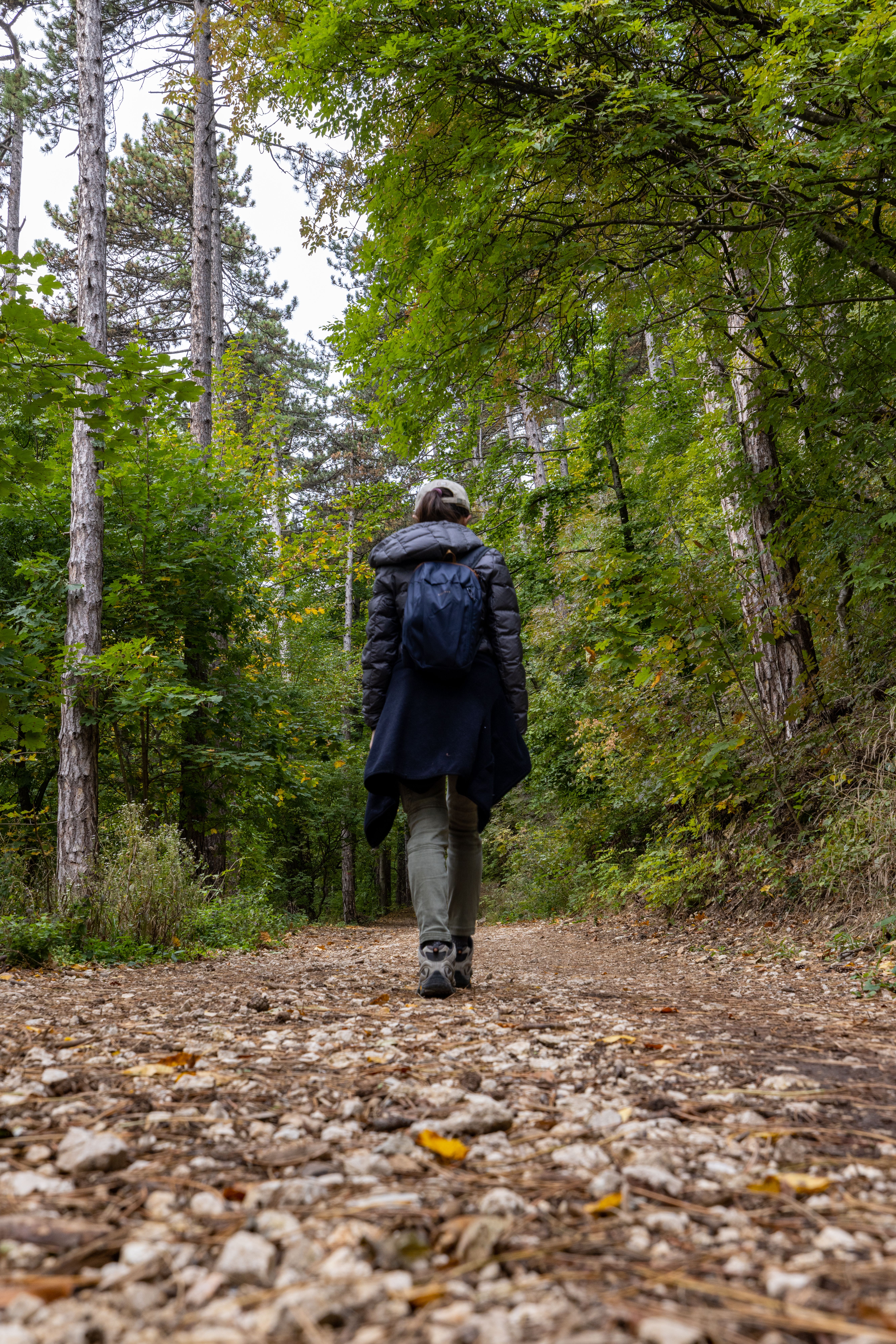Woman in Black Jacket Standing on Forest · Free Stock Photo