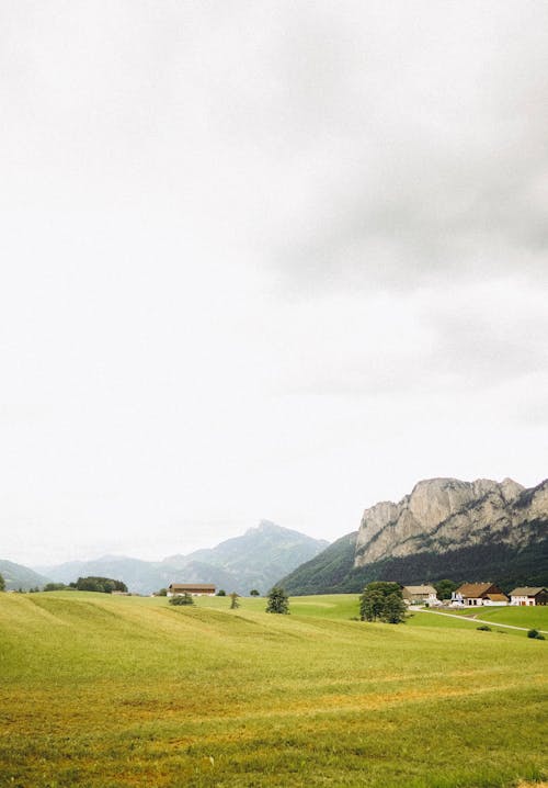 Grass Field under the Cloudy Sky