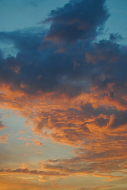 天空, 日出, 日落 的 免费素材图片