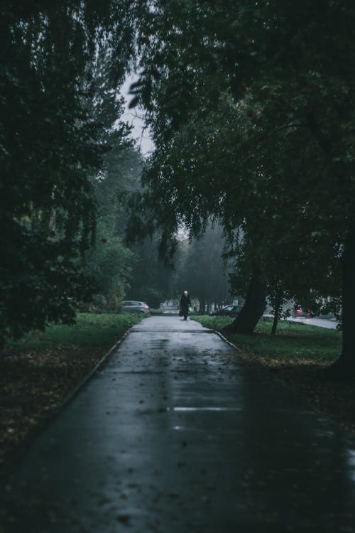 A Sidewalk in a Rain