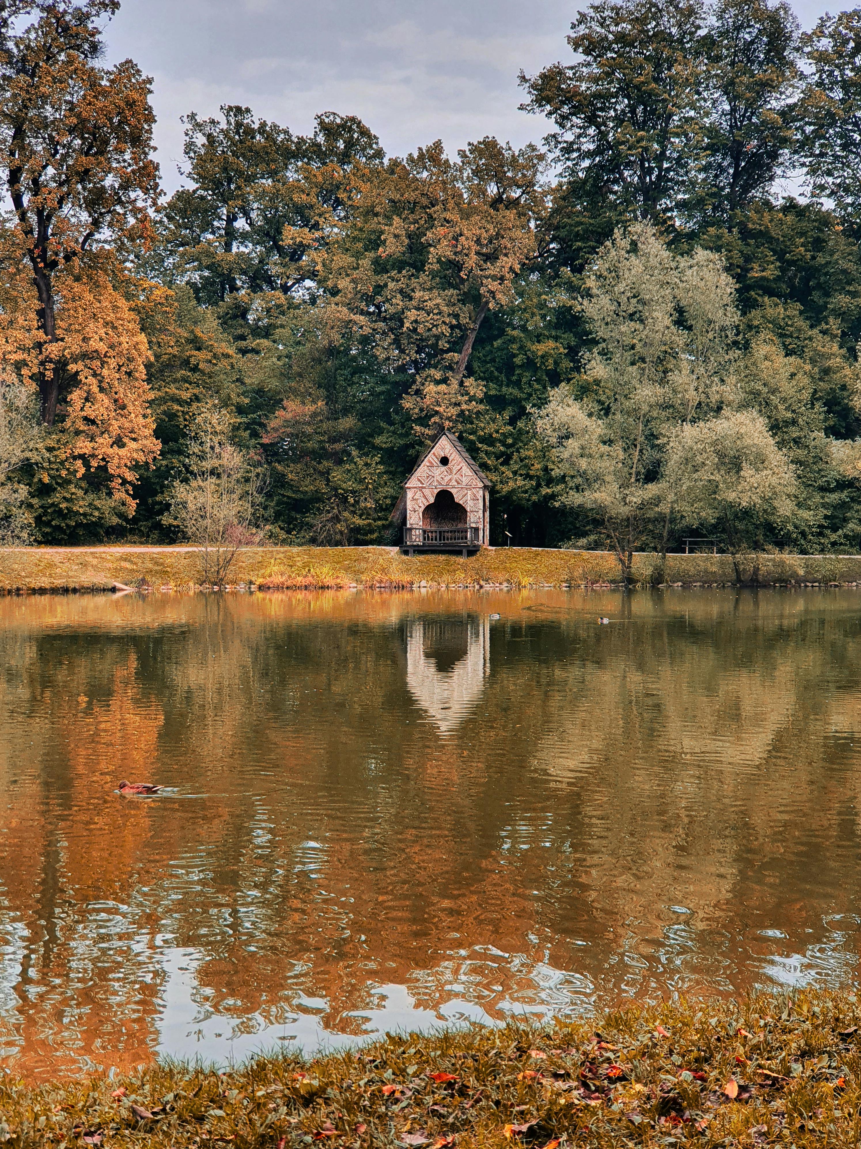 How do you calm an irritated prostate?