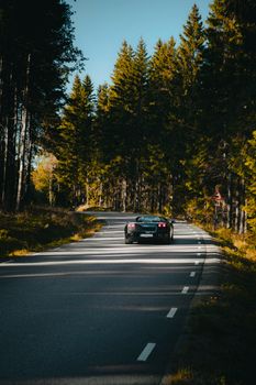 Dynamic shot of a luxury sports car driving on a winding forest road surrounded by tall trees.