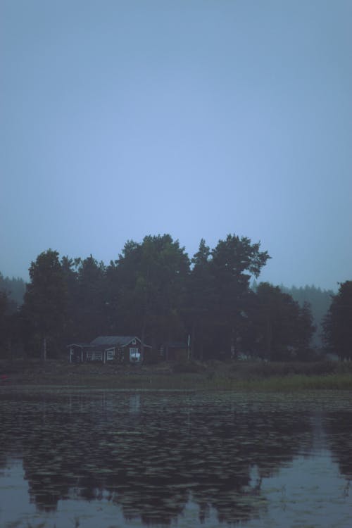 Cabin by Trees on Lakeshore