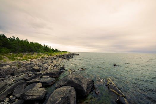 Tranquil view of rugged rocks along a serene ocean shoreline under an overcast sky.